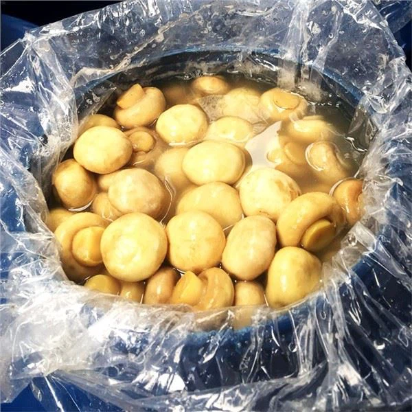 Champignon Grybų Plastikiniai Drum