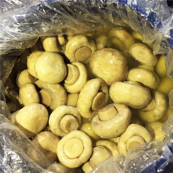 Grybas Agaricus Bisporus Birne