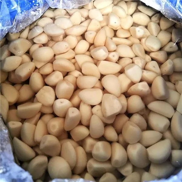 Nuluptos česnako skiltelės sūryme