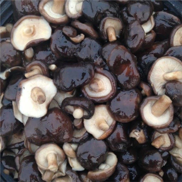 Šiitake Grybų sūrymu