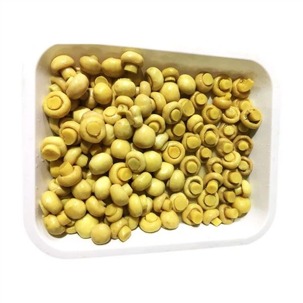 Visas Champignon sūryme