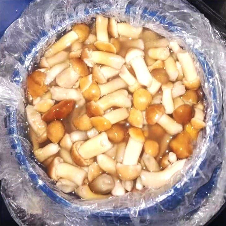 Stropharia In Brine (3)